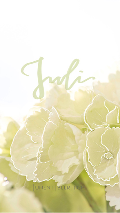 Handy Wallpaper Juli Hortensie Handy Wallpaper Juli Hortensie