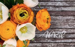 Wallpaper PC April 2019 Brushlettering Illustration Fotografie Blumen