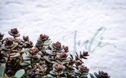 Wallpaper PC Juli 2019 Brushlettering Fotografie