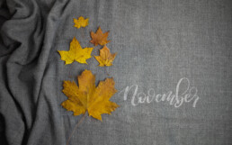 Wallpaper PC November 2019 Brushlettering Fotografie Herbstblätter